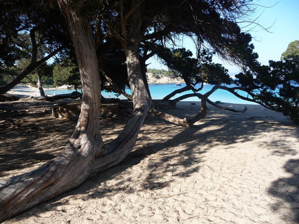 Hostal Yebisah Santa Eularia des Riu Zewnętrze zdjęcie